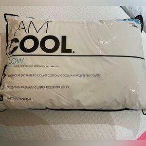 I am cool max pillow